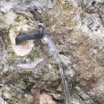 Регионалната здравна инспекция информира за качеството на водата от два местни водоизточника в град Шумен