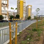 Комисия от Общината установи 70 сухи дървета за спешно премахване, кметът изиска компенсаторна програма